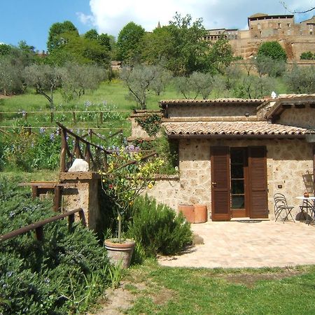 אורביאטו B&B Casaselita מראה חיצוני תמונה